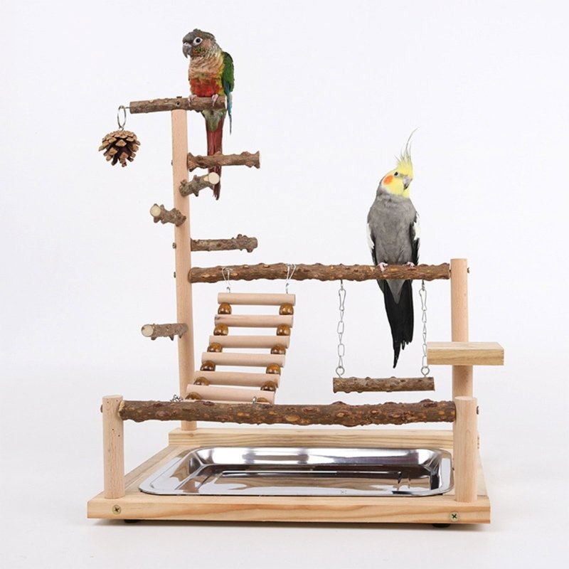 Jouet de balançoire pour oiseaux, perroquet en bois, perchoir, support de jeu, chFukjos, aire de jeux, 2023 Jouet de balançoire pour oiseaux, perroquet en bois, perchoir, support de jeu, chFukjos, aire de jeux, 2023
