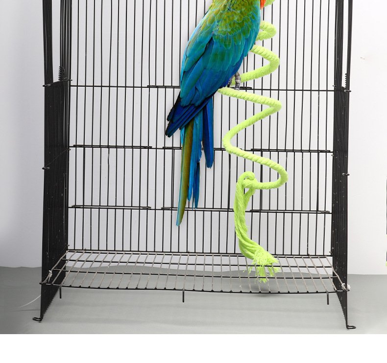 Accessoires pour oiseaux S/M, jouets pour perroquets, ChFuk Climbing, balançoire pour animaux de compagnie, document aléatoire, fournitures pour animaux de compagnie, tionniste et pour perroquet, D9096, 1PC