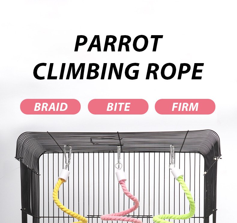 Accessoires pour oiseaux S/M, jouets pour perroquets, ChFuk Climbing, balançoire pour animaux de compagnie, document aléatoire, fournitures pour animaux de compagnie, tionniste et pour perroquet, D9096, 1PC