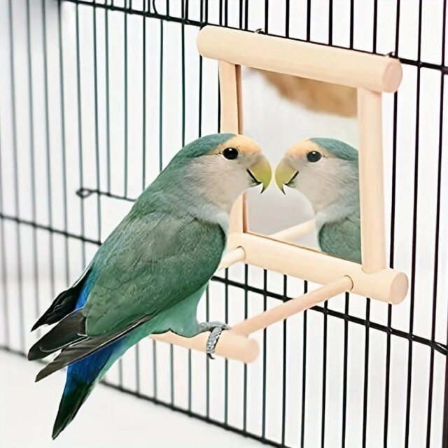 Balançoire miroir interactive pour petits perroquets | accessoire parfait pour perruches