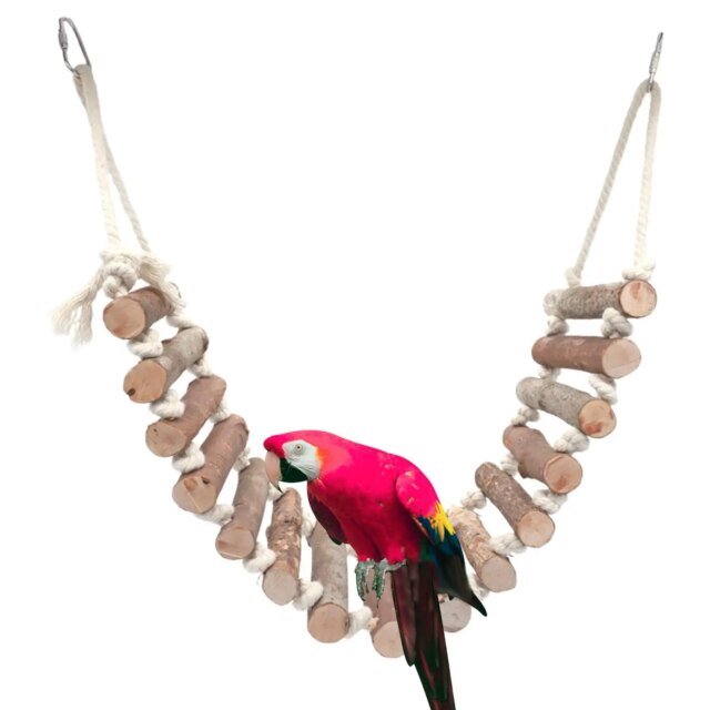 Échelle de bois pour oiseaux | support de rongeur | balançoire – Image 2