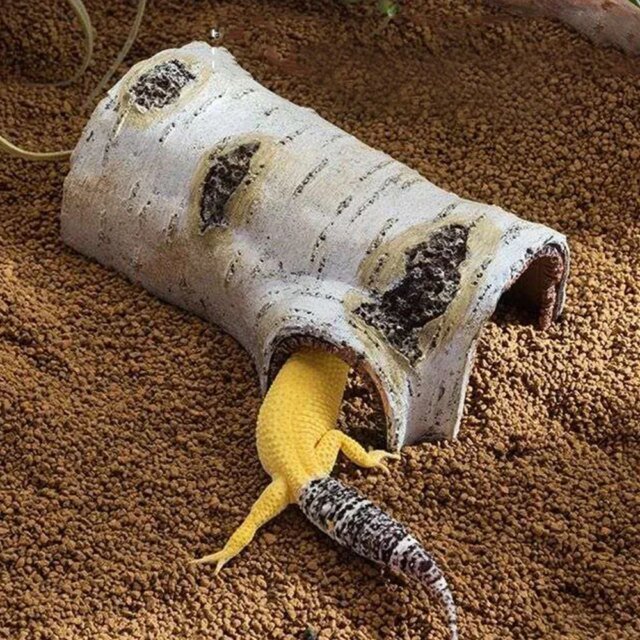 Décoration de boîte d'élevage de reptiles｜trou de cache de bouleau simulé