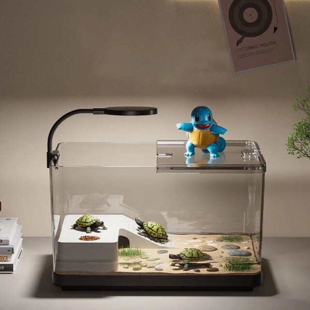 Grand Poisson d'Aquarium Précieux｜Reptiles Amphibiens｜Boîte d'Élevage Ouverte