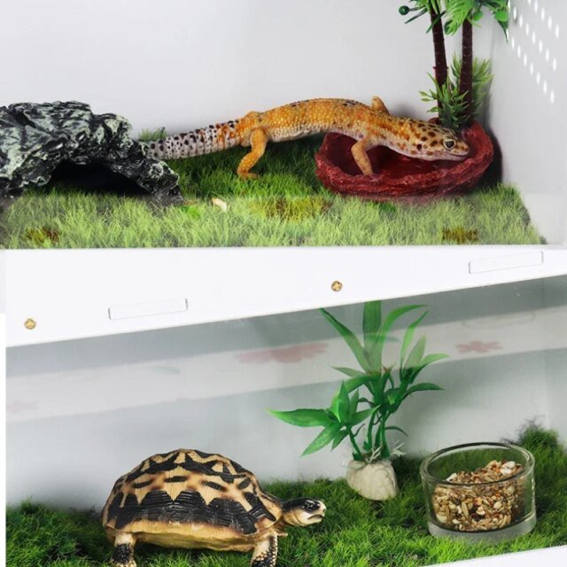 Boîte d'élevage de reptiles en acrylique transparent｜boîtes d'alimentation pour reptiles – Image 4