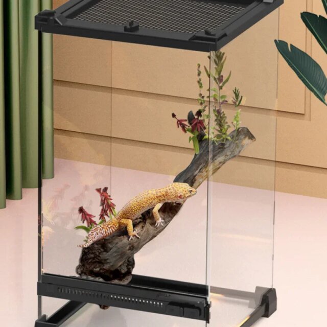 Boîte d'élevage d'animaux de compagnie grimpants amphibies – Image 6