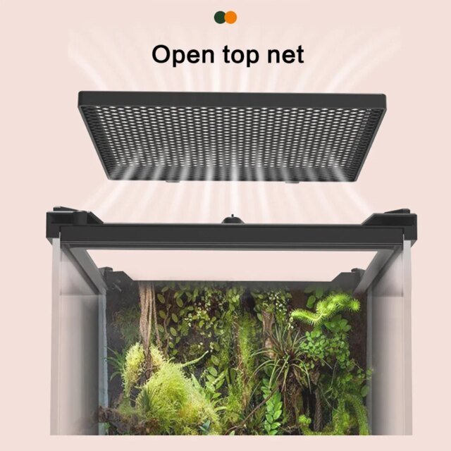 Boîte d'élevage d'animaux de compagnie grimpants amphibies – Image 4
