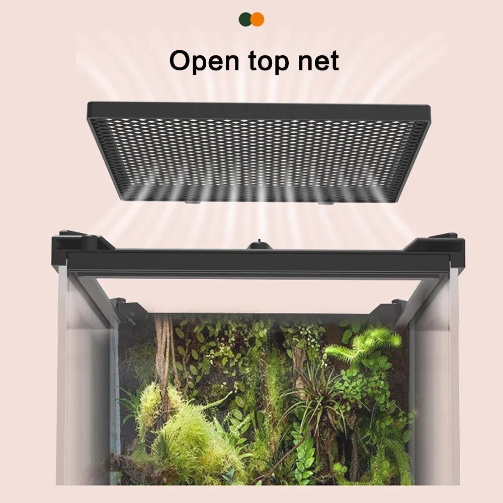 Boîte d'élevage d'animaux de compagnie grimpants amphibies, boîte d'élevage de tortues lézards, boîte d'élevage de lézards, verre du Guatemala, porte unique, paysage écologique, forêt tropicale