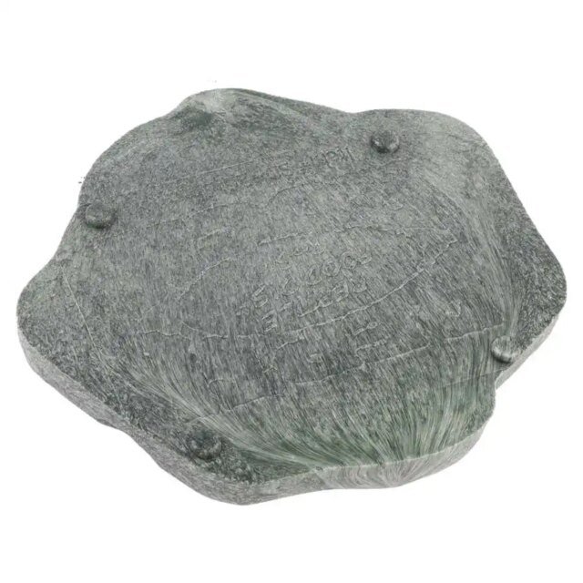 Mangeoire pour reptiles – Image 4