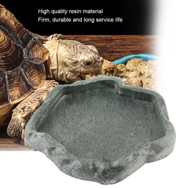 Mangeoire pour reptiles – Image 2