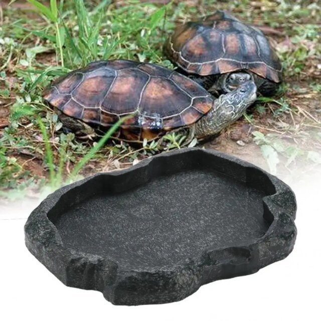 Mangeoire pour reptiles