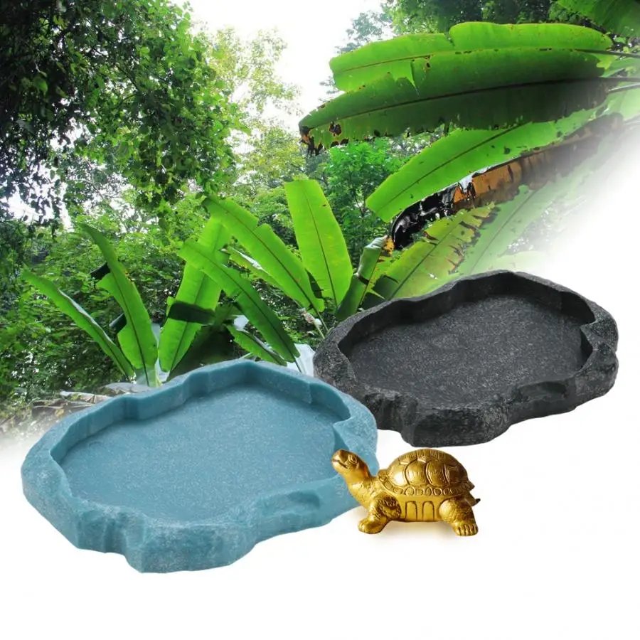Filles d'alimentation en résine pour animaux de compagnie, bol pour animaux de compagnie, pot d'eau non cubique, reptile, tortue, tortue, scorpion, lézard, crabe, outil