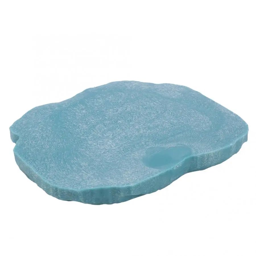 Filles d'alimentation en résine pour animaux de compagnie, bol pour animaux de compagnie, pot d'eau non cubique, reptile, tortue, tortue, scorpion, lézard, crabe, outil