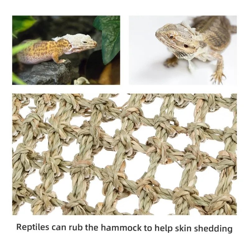 Hamac Dragon barbu pour reptiles, chaise longue pour caméléon, lézards, serpent Gecko, coussin Lguana, balançoire de lit pour animaux de compagnie Hamac Dragon barbu pour reptiles, chaise longue pour caméléon, lézards, serpent Gecko, coussin Lguana, balançoire de lit pour animaux de compagnie