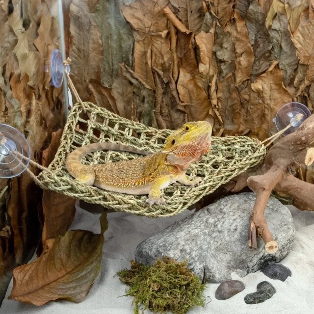Hamac Dragon barbu pour reptiles | balançoire de lit pour animaux de compagnie – Image 5