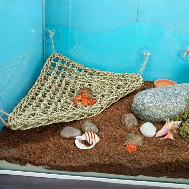Hamac Dragon barbu pour reptiles | balançoire de lit pour animaux de compagnie – Image 6