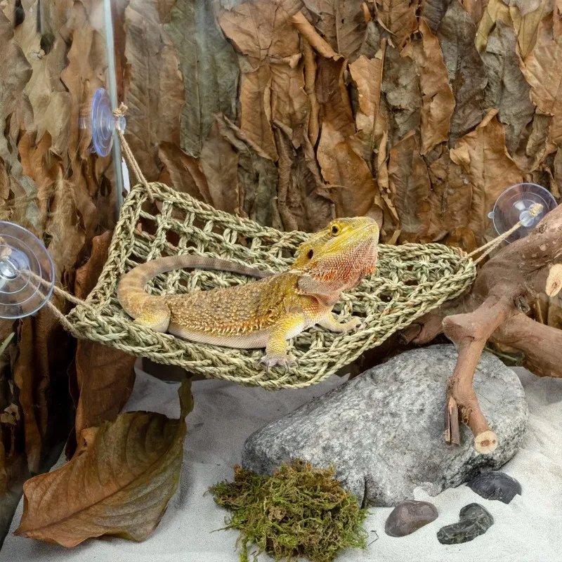 Hamac Dragon barbu pour reptiles, chaise longue pour caméléon, lézards, serpent Gecko, coussin Lguana, balançoire de lit pour animaux de compagnie Hamac Dragon barbu pour reptiles, chaise longue pour caméléon, lézards, serpent Gecko, coussin Lguana, balançoire de lit pour animaux de compagnie