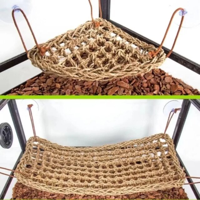 Hamac Dragon barbu pour reptiles | balançoire de lit pour animaux de compagnie – Image 2