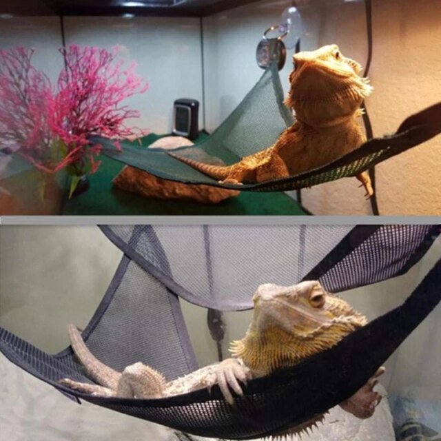Hamac pour reptiles