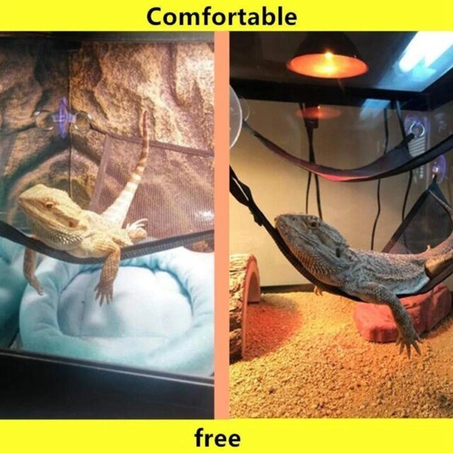 Hamac pour reptiles – Image 3