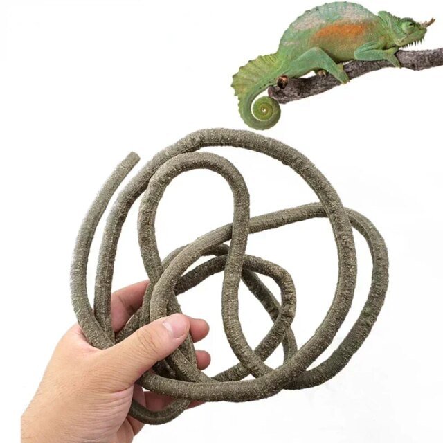 Grandes Vignes Flexibles en Rotin pour Décoration d'Habitat | Décor de Terrarium pour Reptiles – Image 3