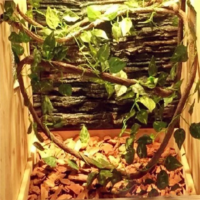 Grandes Vignes Flexibles en Rotin pour Décoration d'Habitat | Décor de Terrarium pour Reptiles – Image 2