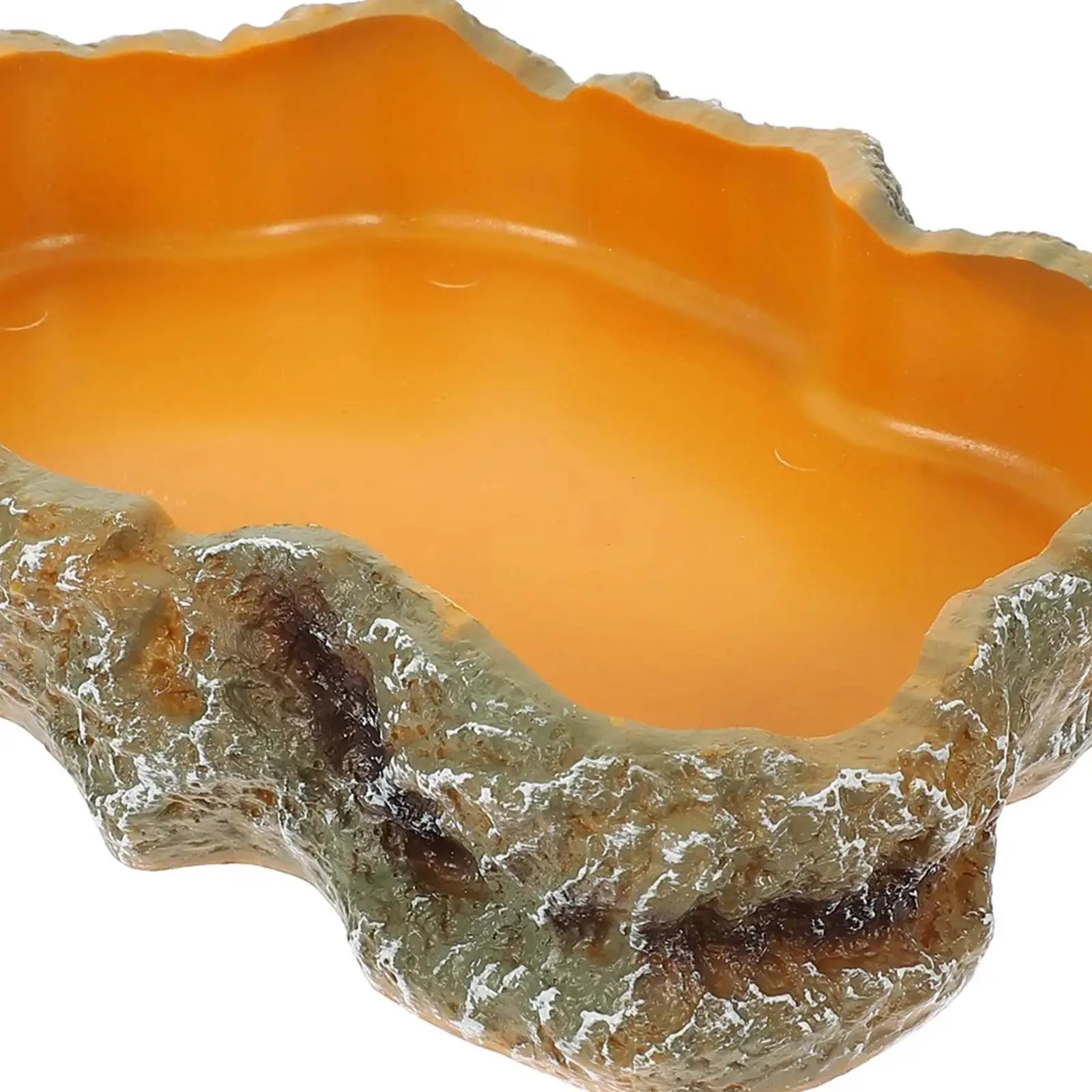 Filles à eau pour reptiles, assiette de terrarium, mangeoire pour amphibiens, grenouille, caméléon, tortue, dragon barbu, tortue