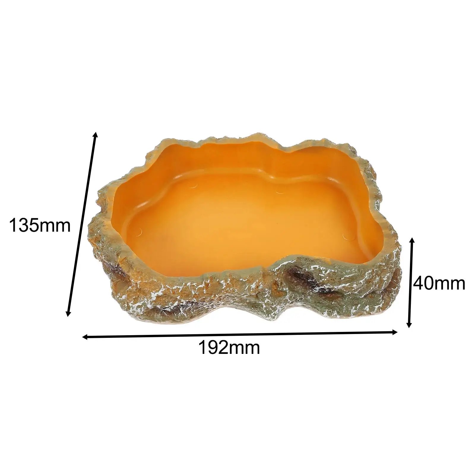 Filles à eau pour reptiles, assiette de terrarium, mangeoire pour amphibiens, grenouille, caméléon, tortue, dragon barbu, tortue