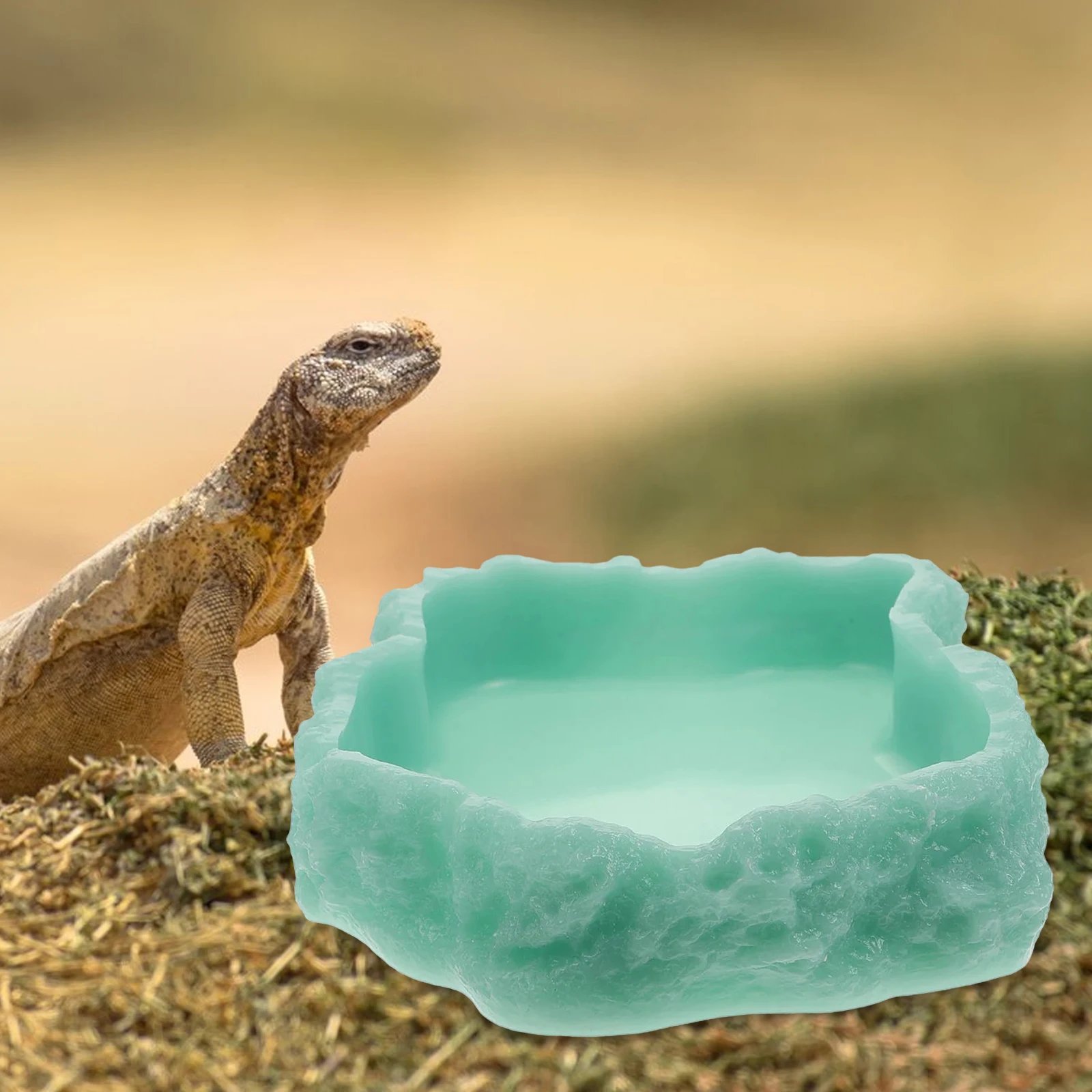 Filles à eau pour reptiles, assiette de terrarium, mangeoire pour amphibiens, grenouille, caméléon, tortue, dragon barbu, tortue