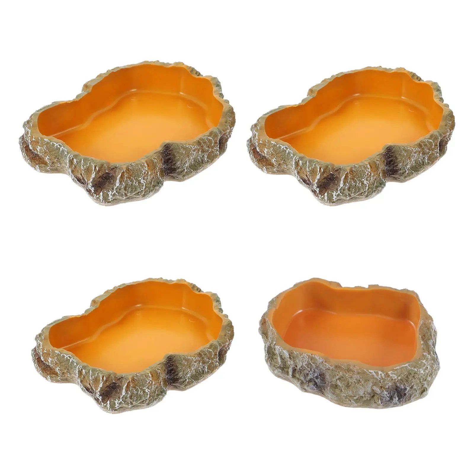 Filles à eau pour reptiles, assiette de terrarium, mangeoire pour amphibiens, grenouille, caméléon, tortue, dragon barbu, tortue
