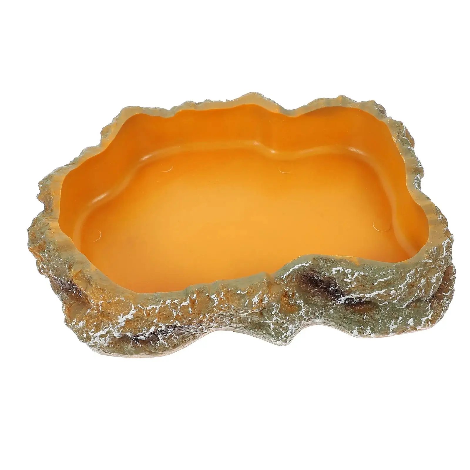 Filles à eau pour reptiles, assiette de terrarium, mangeoire pour amphibiens, grenouille, caméléon, tortue, dragon barbu, tortue