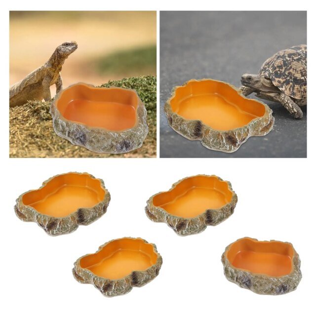 Filles à eau pour reptiles | mangeoire pour amphibiens – Image 4