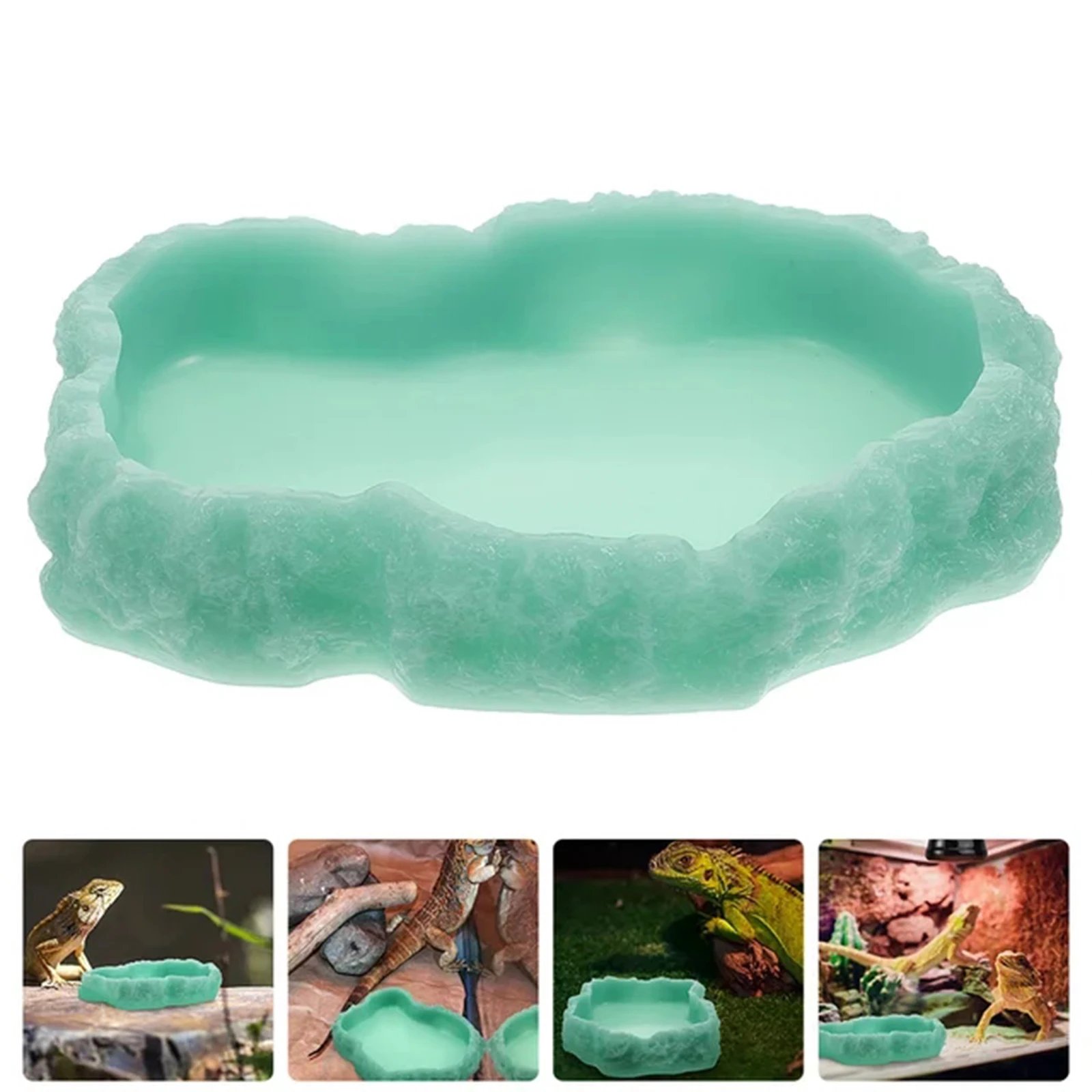Filles à eau pour reptiles, assiette de terrarium, mangeoire pour amphibiens, grenouille, caméléon, tortue, dragon barbu, tortue