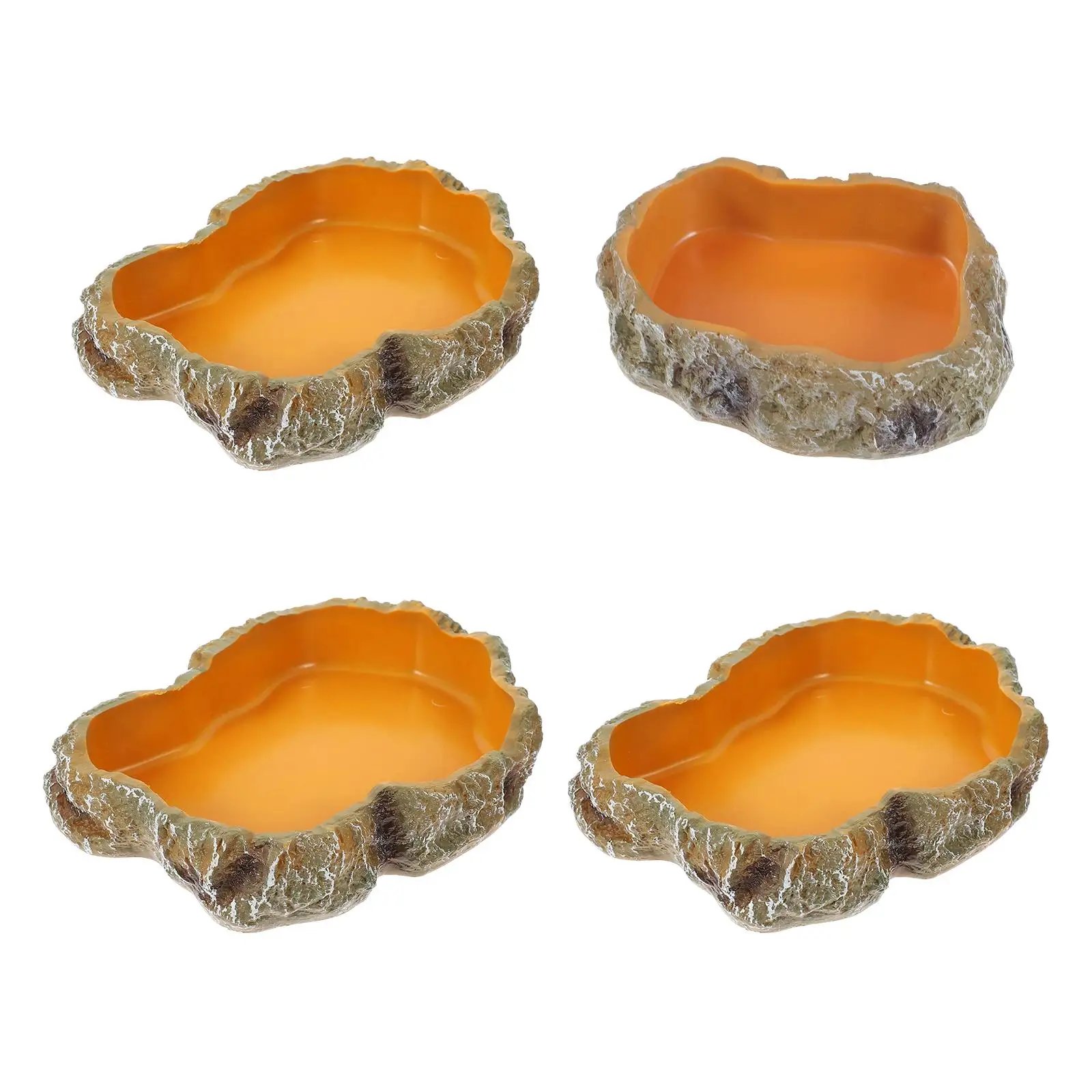 Filles à eau pour reptiles, assiette de terrarium, mangeoire pour amphibiens, grenouille, caméléon, tortue, dragon barbu, tortue