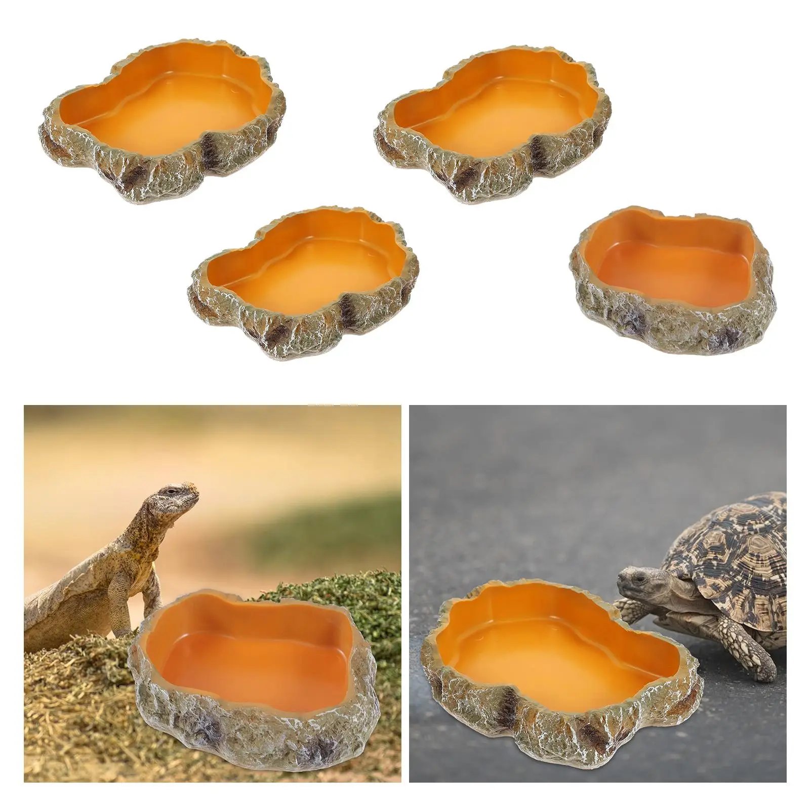 Filles à eau pour reptiles, assiette de terrarium, mangeoire pour amphibiens, grenouille, caméléon, tortue, dragon barbu, tortue
