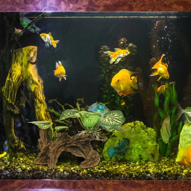 Ornements d'Aquarium en Résine Artificielle｜Simulation de Plantes Précieuses – Image 6