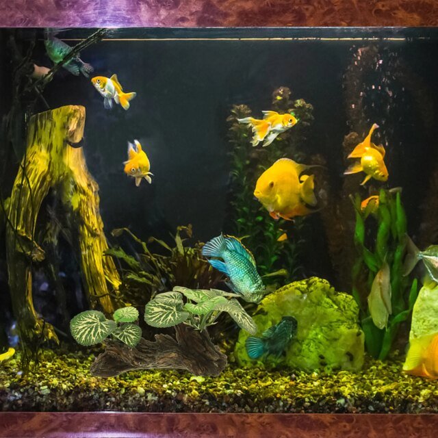 Ornements d'Aquarium en Résine Artificielle｜Simulation de Plantes Précieuses – Image 4