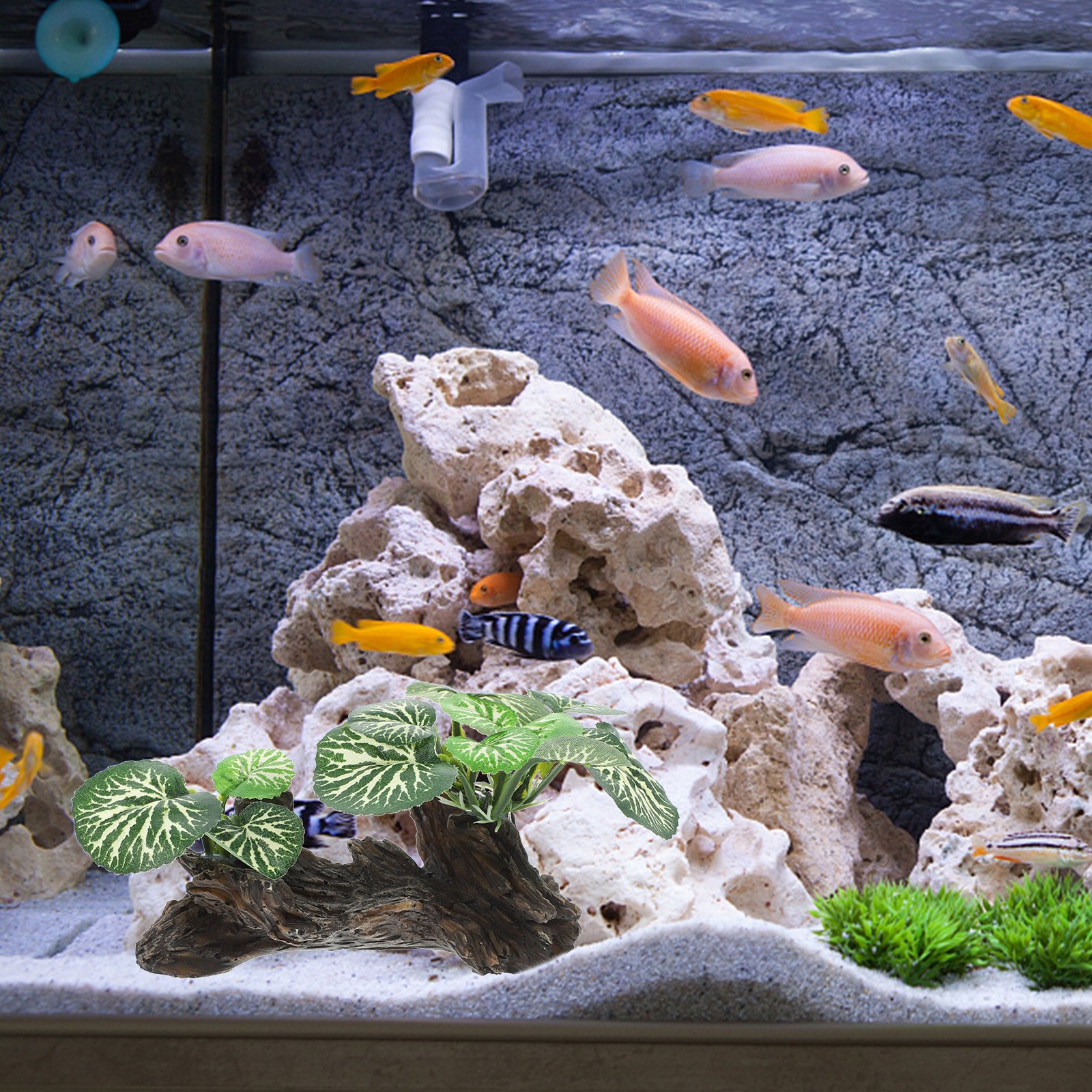 Ornements d'Aquarium en Résine Artificielle, Simulation de Plantes Précieuses, Faux Spot Dominant pour Décor de Terrarium