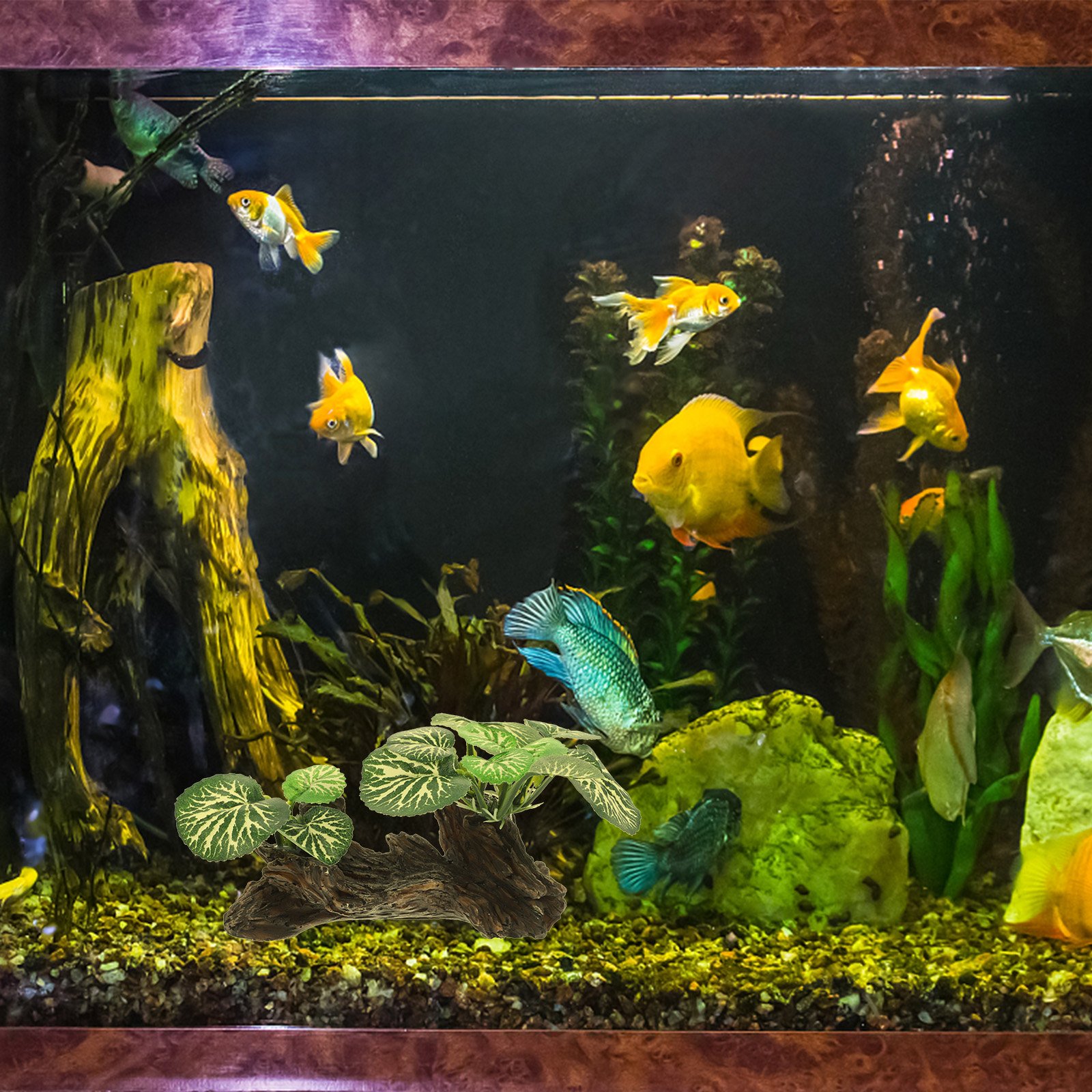 Ornements d'Aquarium en Résine Artificielle, Simulation de Plantes Précieuses, Faux Spot Dominant pour Décor de Terrarium