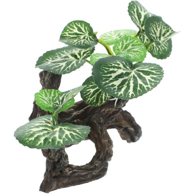Ornements d'Aquarium en Résine Artificielle｜Simulation de Plantes Précieuses