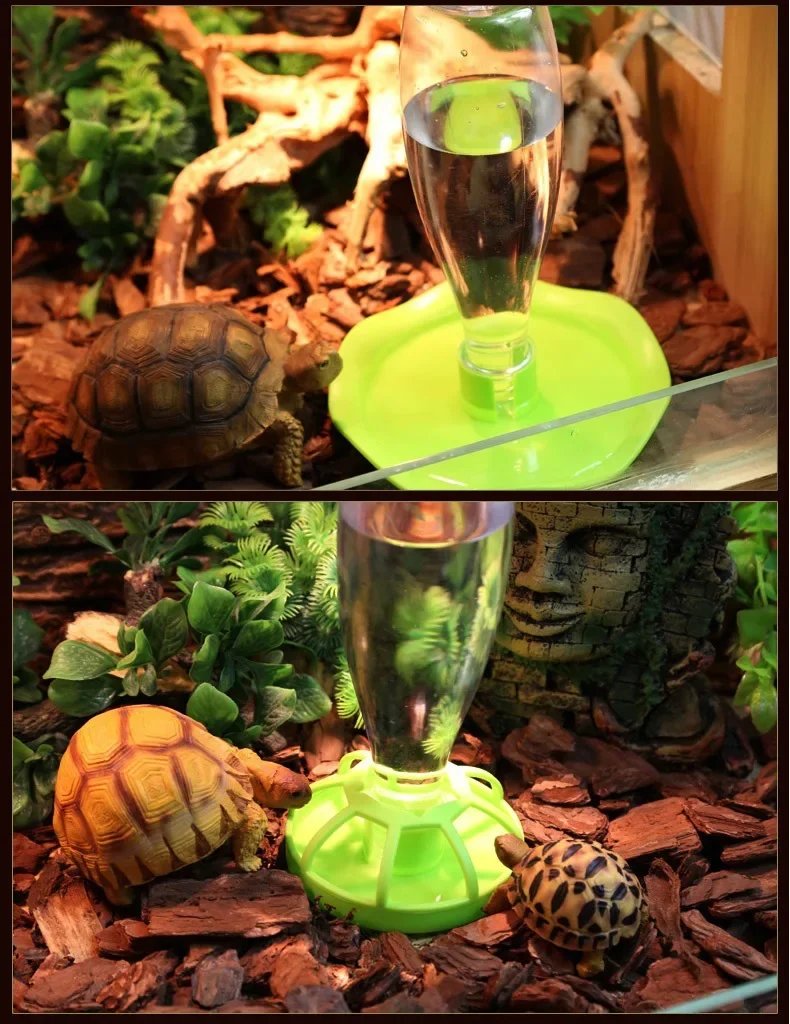 Distributeur d'eau pour reptiles, bol alimentaire, mangeoire à lézards, plat rond, bouteille à clics, mangeoires pour reptiles, fleur de lézard, Annie, nouveau