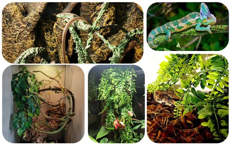 Feuilles en plastique flexibles suspendues pour les plantes reptiles, vigne grimpante de la jungle pliable, décor de terrarium pour animaux de compagnie, grenouille gecko lézard barbu Feuilles en plastique flexibles suspendues pour les plantes reptiles, vigne grimpante de la jungle pliable, décor de terrarium pour animaux de compagnie, grenouille gecko lézard barbu