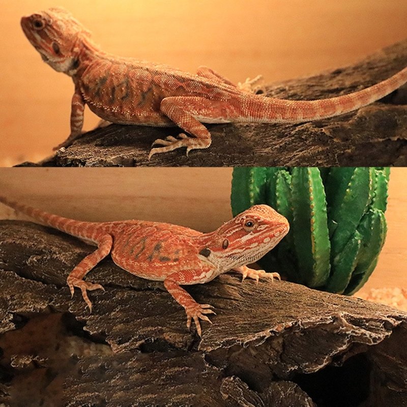 Résine Reptiles Hideout DIY Résine Fish Tank Aquarium Artificiel Tronc D'arbre Simulation Tronc D'arbre pour Reptiles Abri