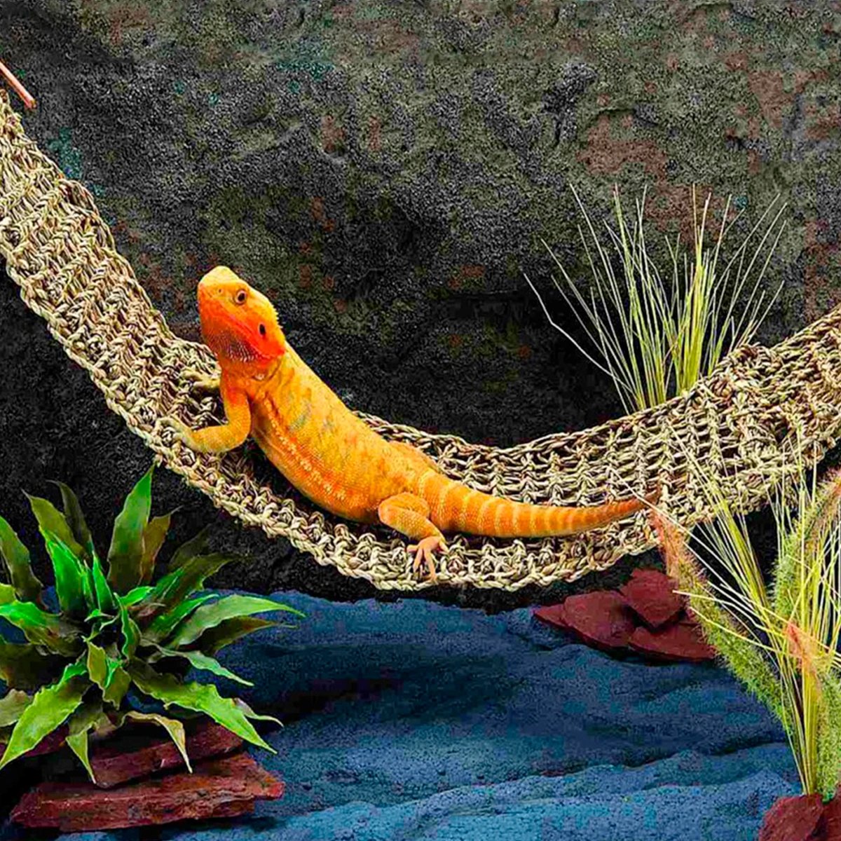 Décoration de terrarium de hamac de reptile, tapis d'oiseaux, chaise longue de lézard, petits crabes ermites, lit de Grovos, fournitures pour animaux de compagnie