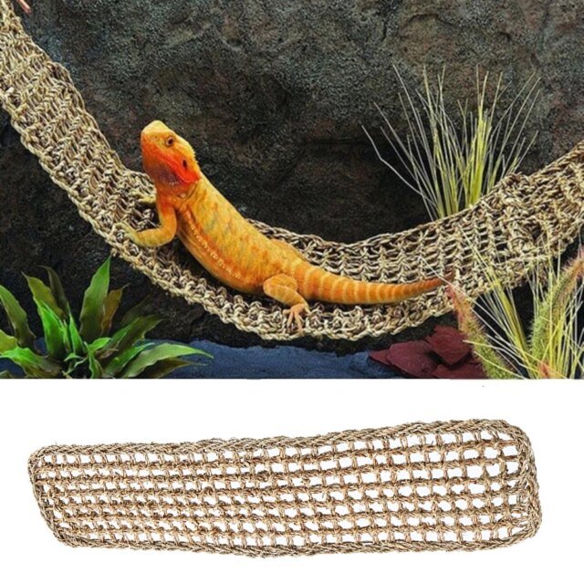 Décoration de terrarium de hamac de reptile